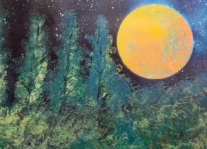 night sky moon pine trees